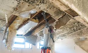 Best Basement Mold Removal  in Valle Vista, CA